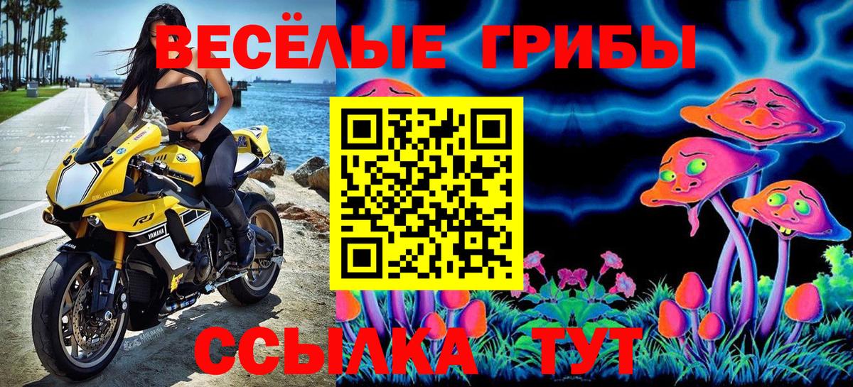 Батайск  Псилоцибиновые грибы MAGIC MUSHROOMS  Галлюциногенные грибы MAGIC MUSHROOMS  Вход с VPN 